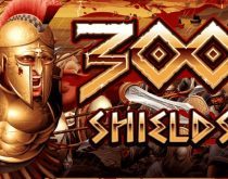 300 Shields