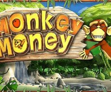 Monkey Money
