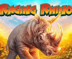 Raging Rhino