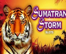 Sumatran Storm