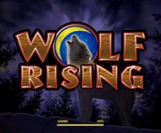 Wolf Rising